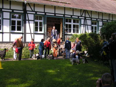 Sheltietreffen_2012_42