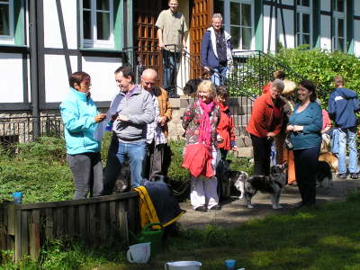 Sheltietreffen_2012_44