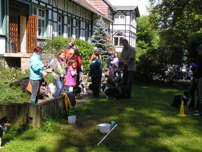 Sheltietreffen_2012_46