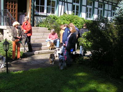 Sheltietreffen_2012_47