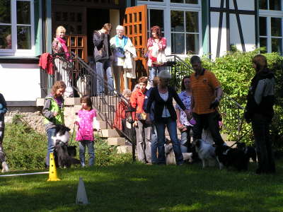 Sheltietreffen_2012_51