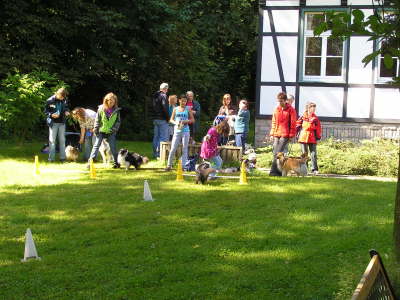 Sheltietreffen_2012_53