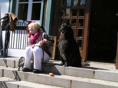 Sheltietreffen_2012_54