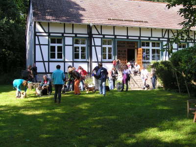 Sheltietreffen_2012_58