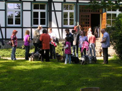 Sheltietreffen_2012_61