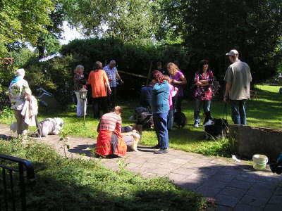 Sheltietreffen_2012_62