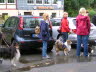 Sheltietreffen_2013_02