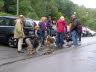 Sheltietreffen_2013_04