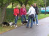 Sheltietreffen_2013_05