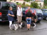 Sheltietreffen_2013_07