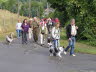 Sheltietreffen_2013_16