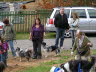 Sheltietreffen_2013_29