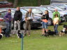 Sheltietreffen_2013_30