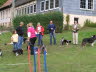 Sheltietreffen_2013_32