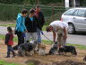 Sheltietreffen_2013_34