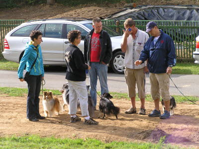 Sheltietreffen_2013_41