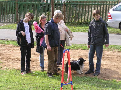 Sheltietreffen_2013_43