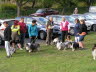 Sheltietreffen_2013_45