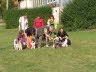 Sheltietreffen_2013_54