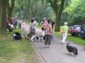 Sheltietreffen 08