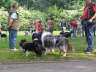 Sheltietreffen 08