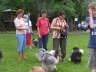 Sheltietreffen 08