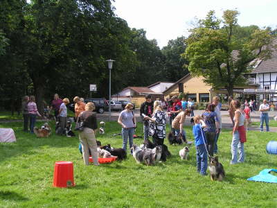 Sheltietreffen 07